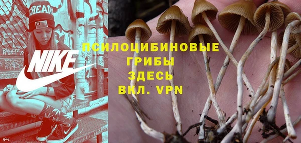 молекула духа Балахна