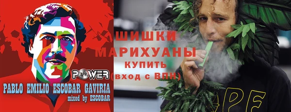 молекула духа Балахна