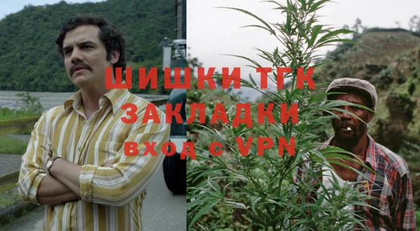 молекула духа Балахна