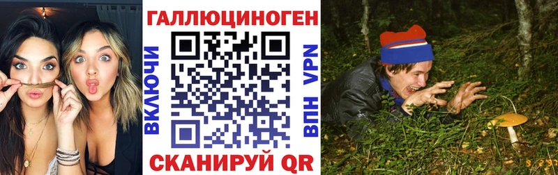 Псилоцибиновые грибы MAGIC MUSHROOMS  купить  цена  Заречный 